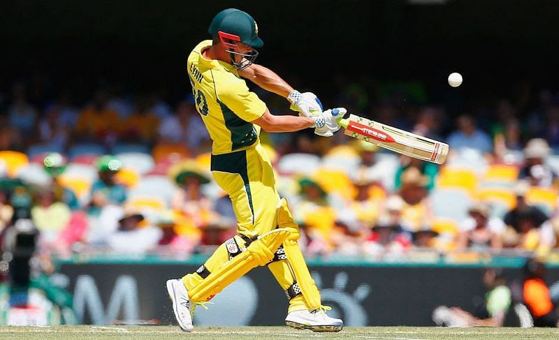 Chris Lynn is a part of Winnipeg Hawks